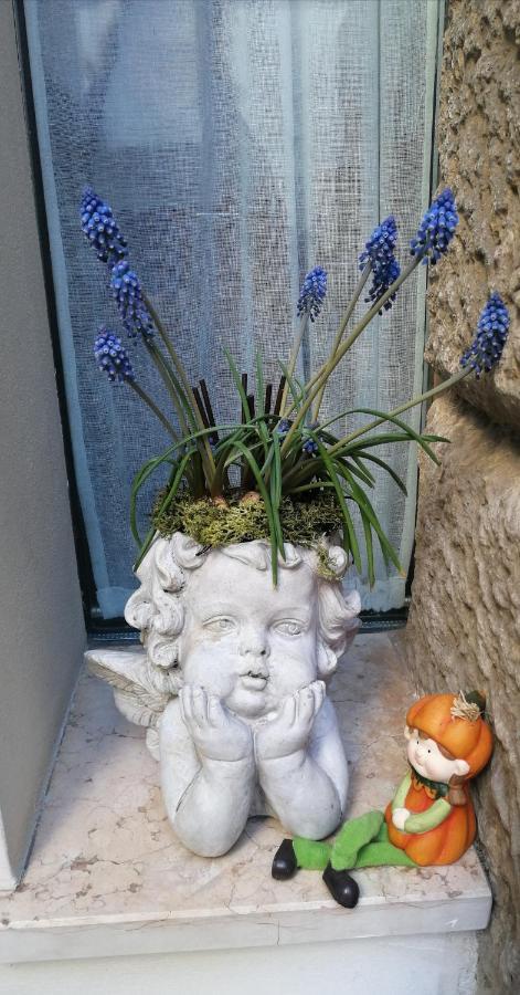 Verona Goddess House Exterior foto